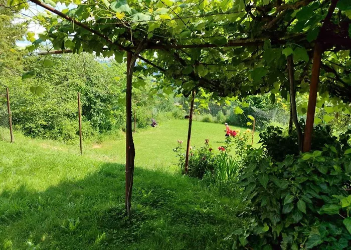 слънце борики 3*